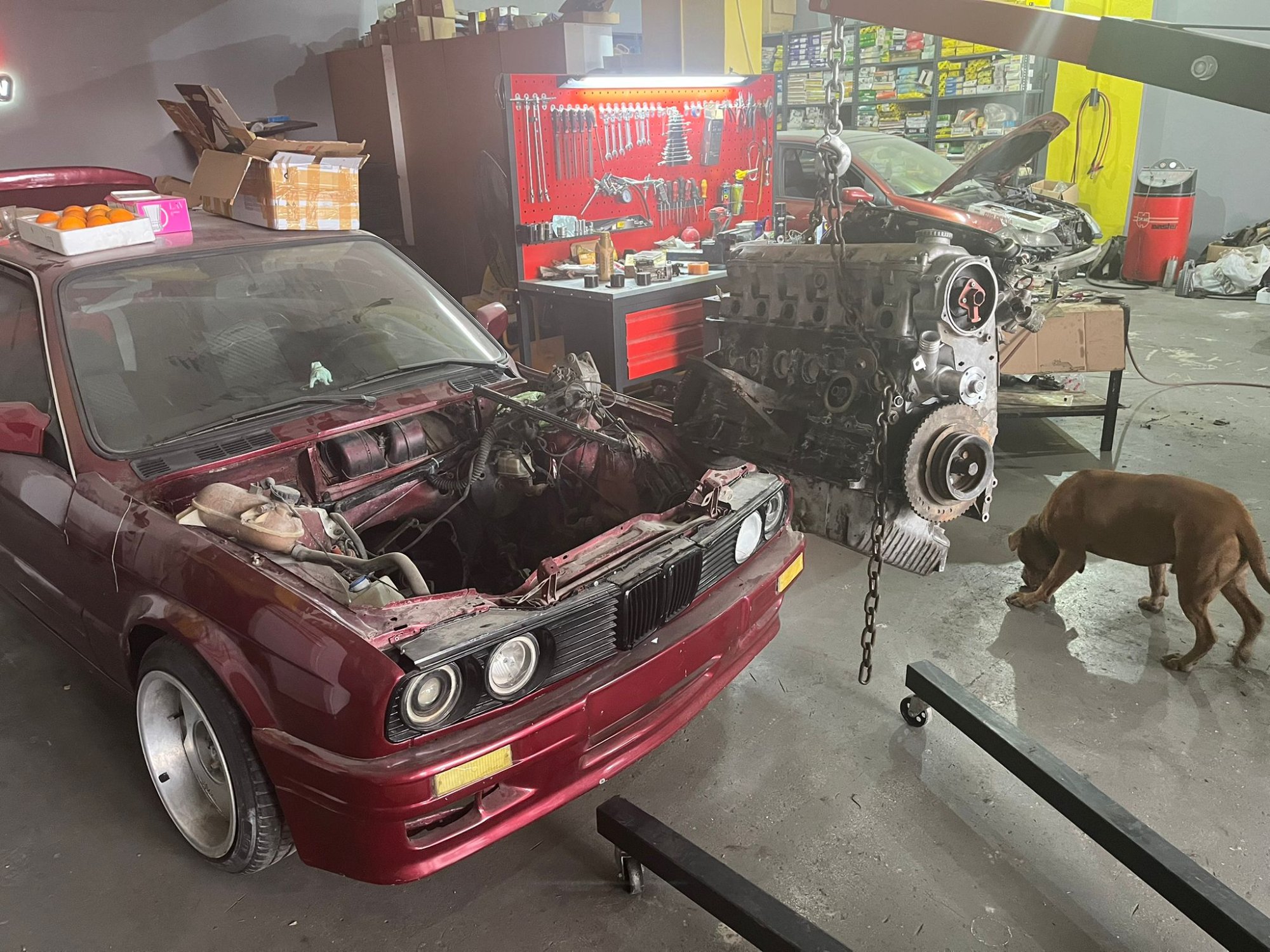 Mert Oto Atölyesi - Servis Alanı - Mert Oto Köyceğiz